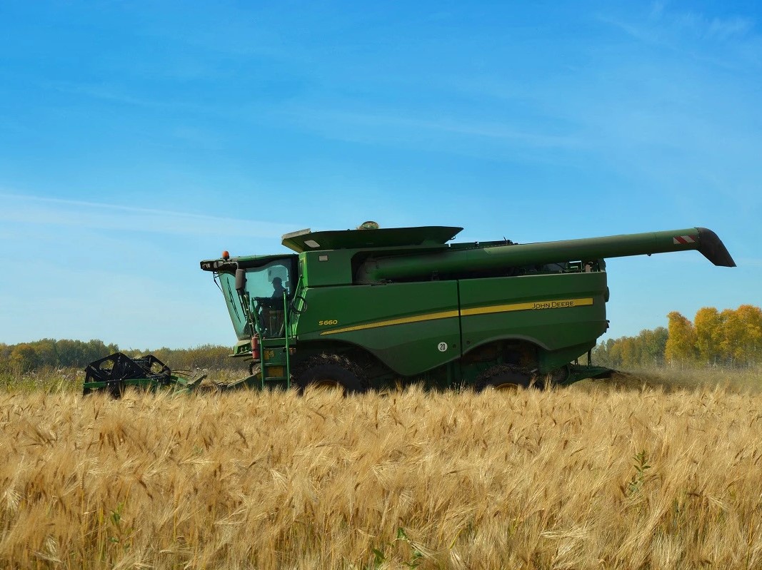 «СовЭкон» повысил оценку урожая пшеницы
