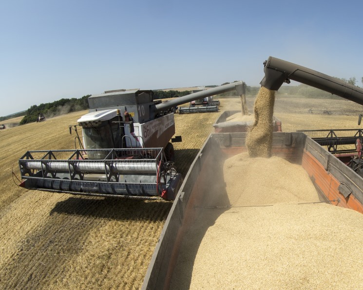 Россельхознадзор предложил перераспределить квоту на поставки зерна между экспортерами